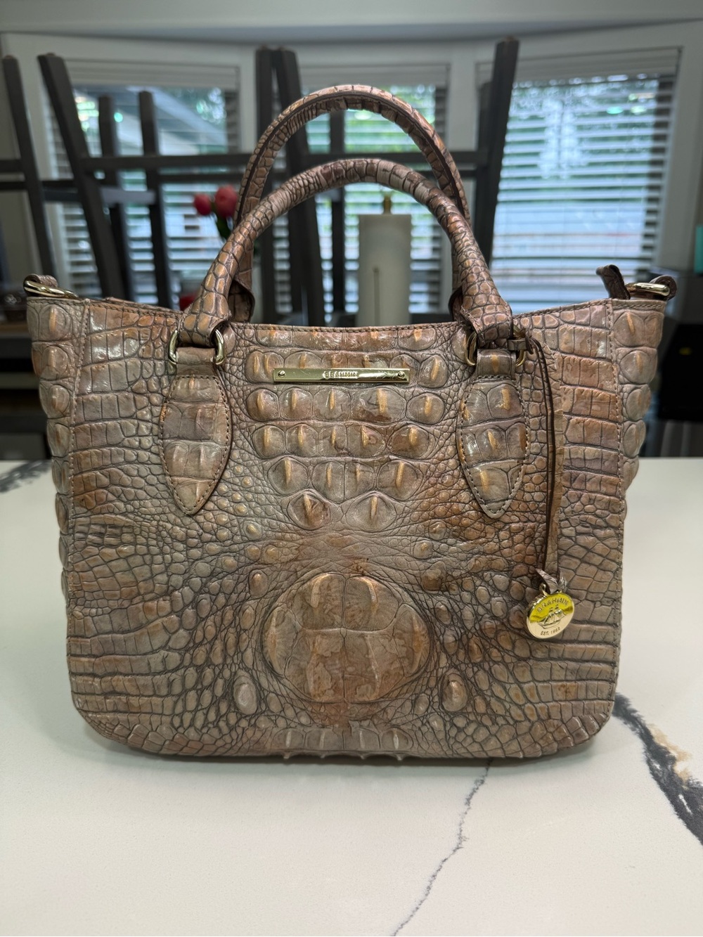Brahmin Duxbury Croc Embossed Leather Satchel